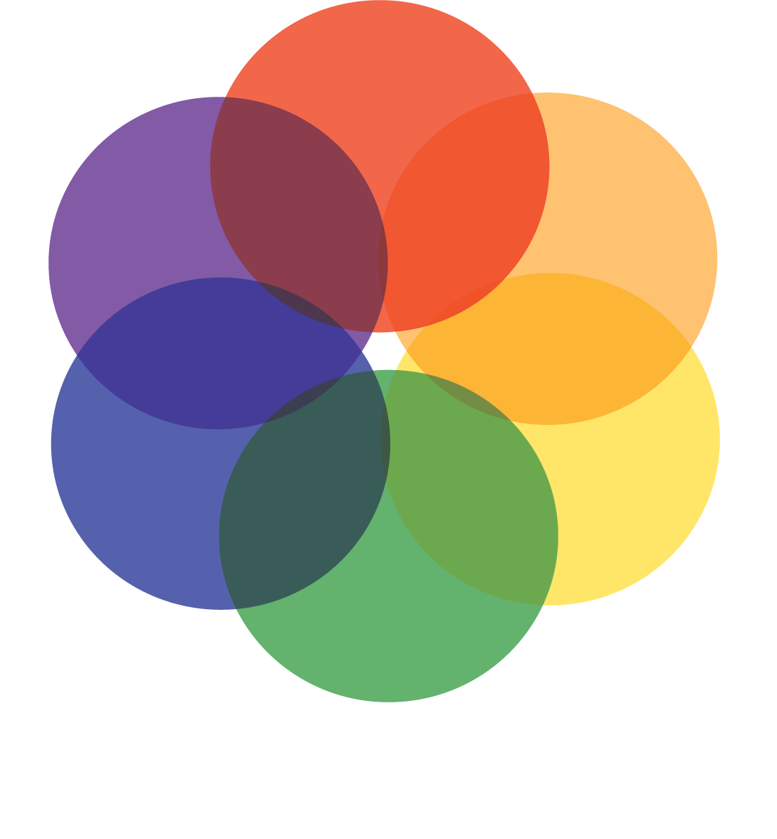 Project SPICES multidimensional Human Systems framework by Dr. Sarai Koo