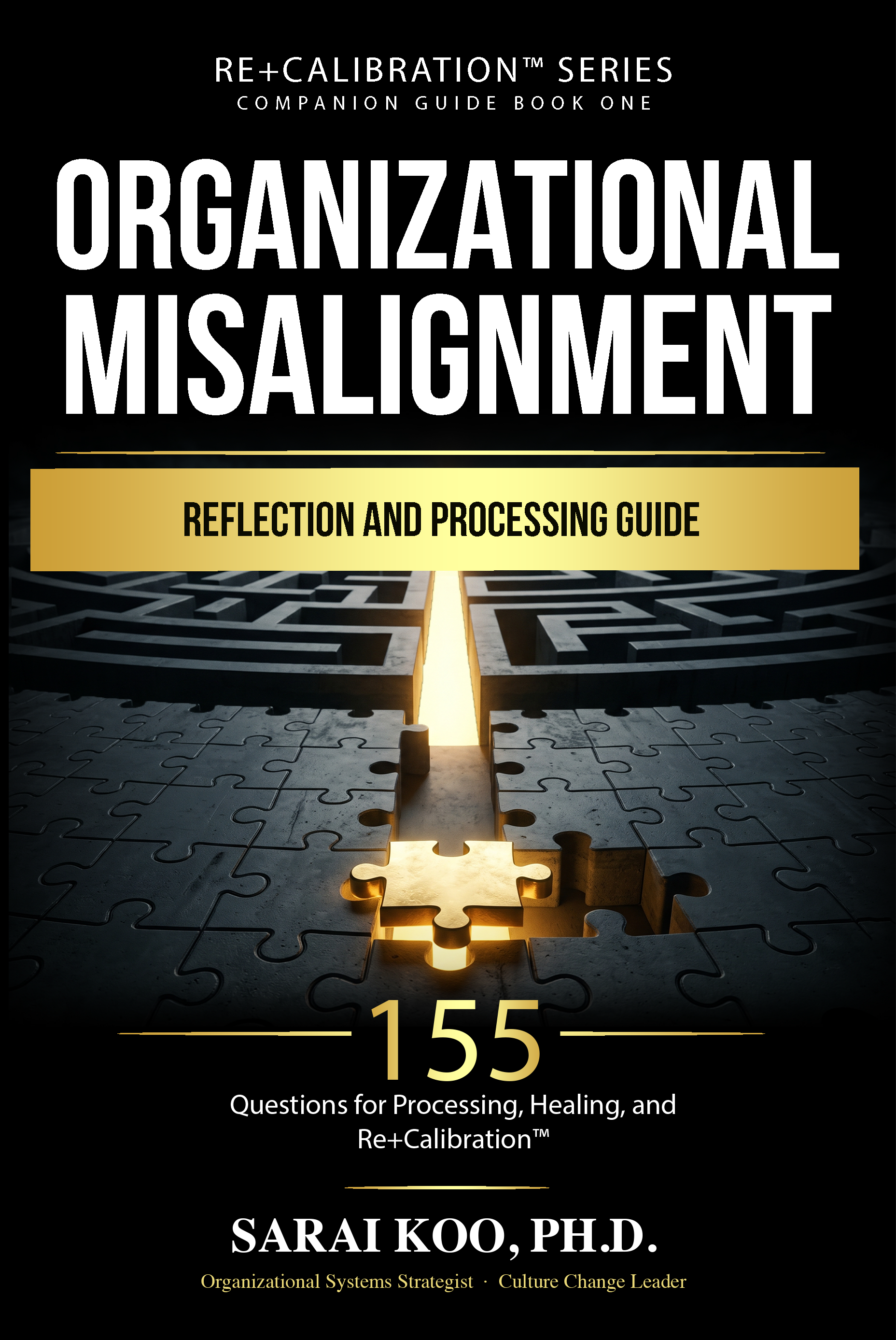 Organizational Misalignment Reflection and Processing Guide