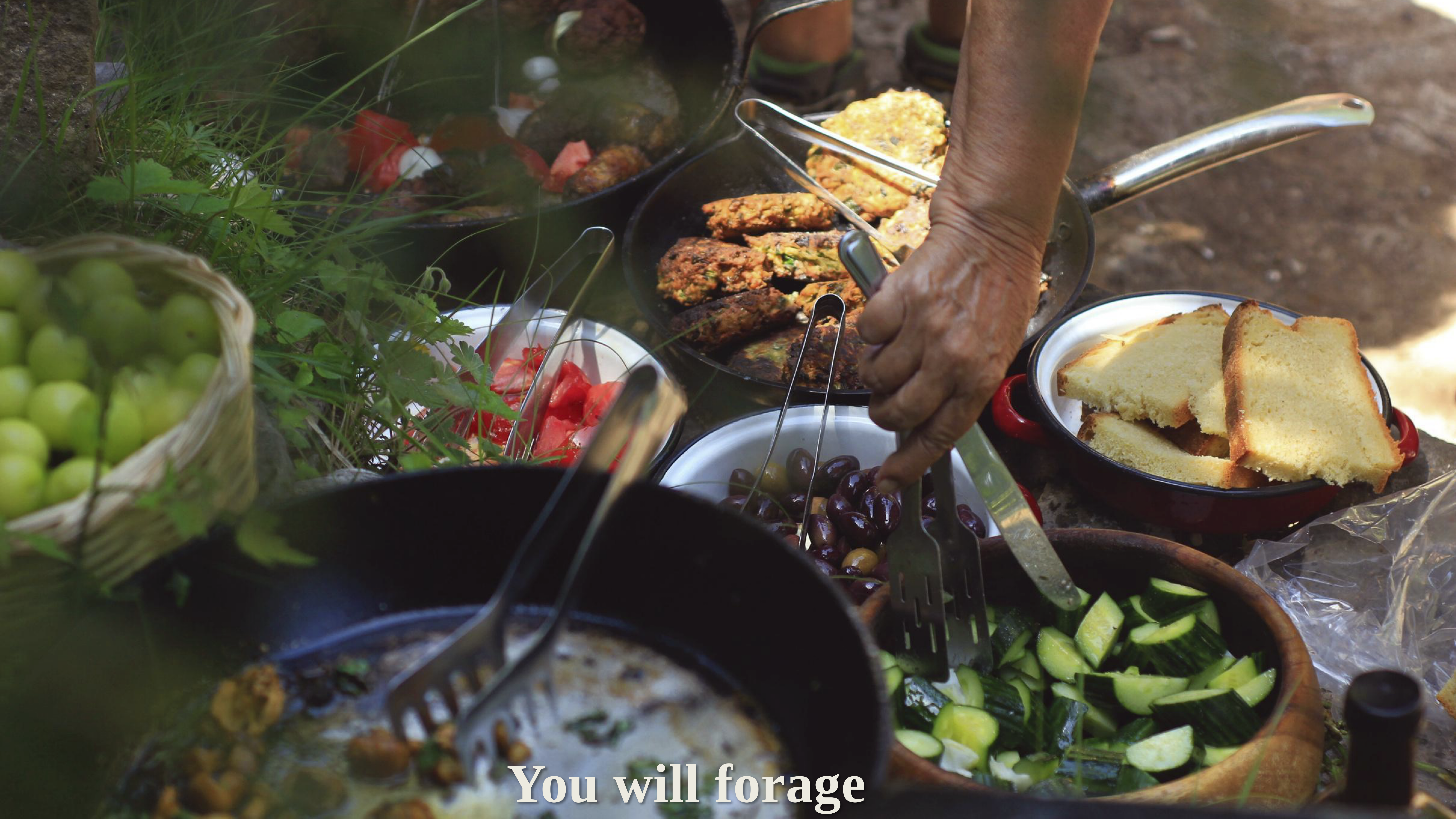 Greece 2027 — Montanema & Vamos Village