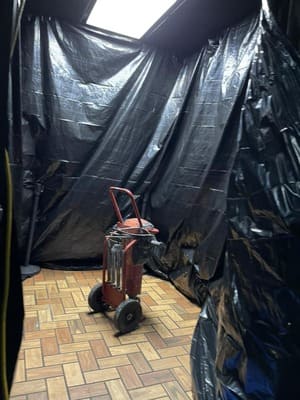 {{ custom_values.service_4 }} in {{custom_values.area_2})