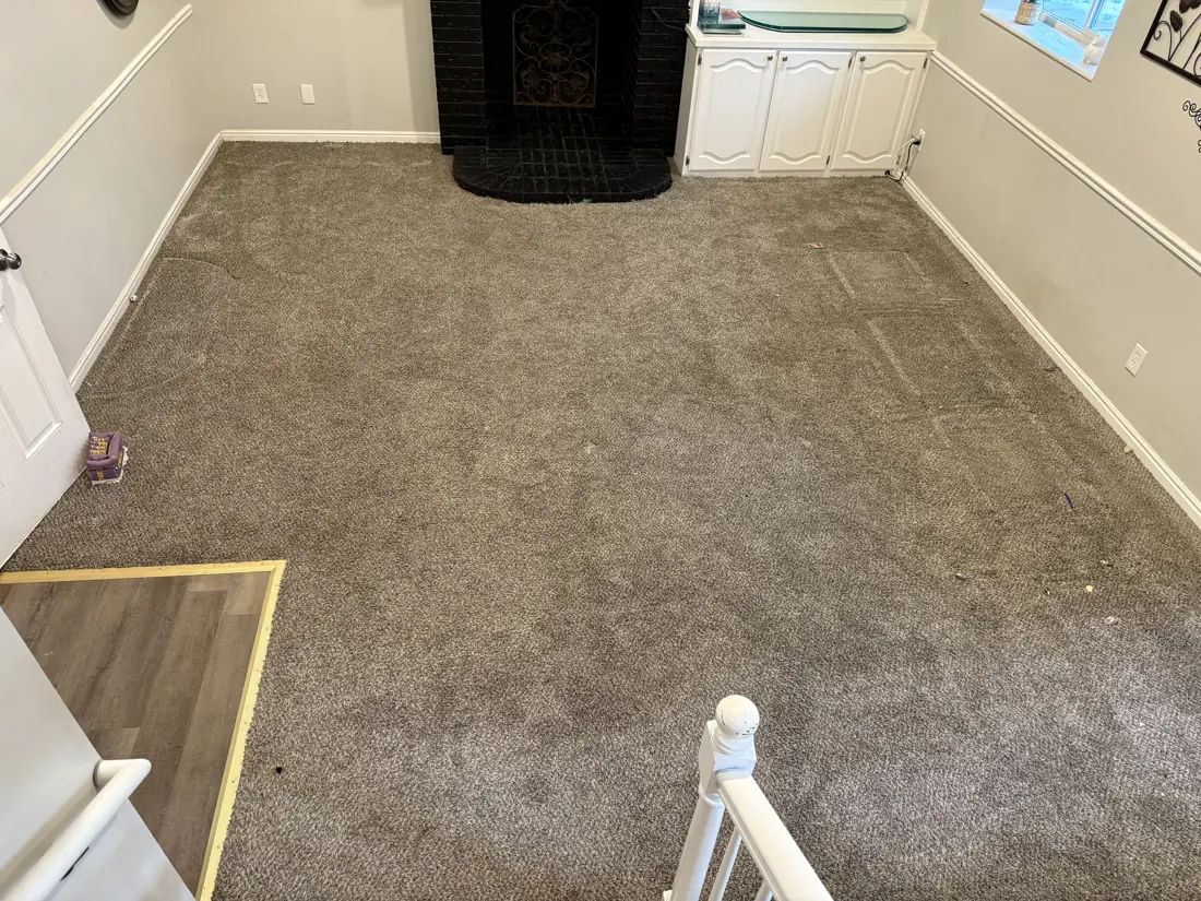 Basement before: worn carpet