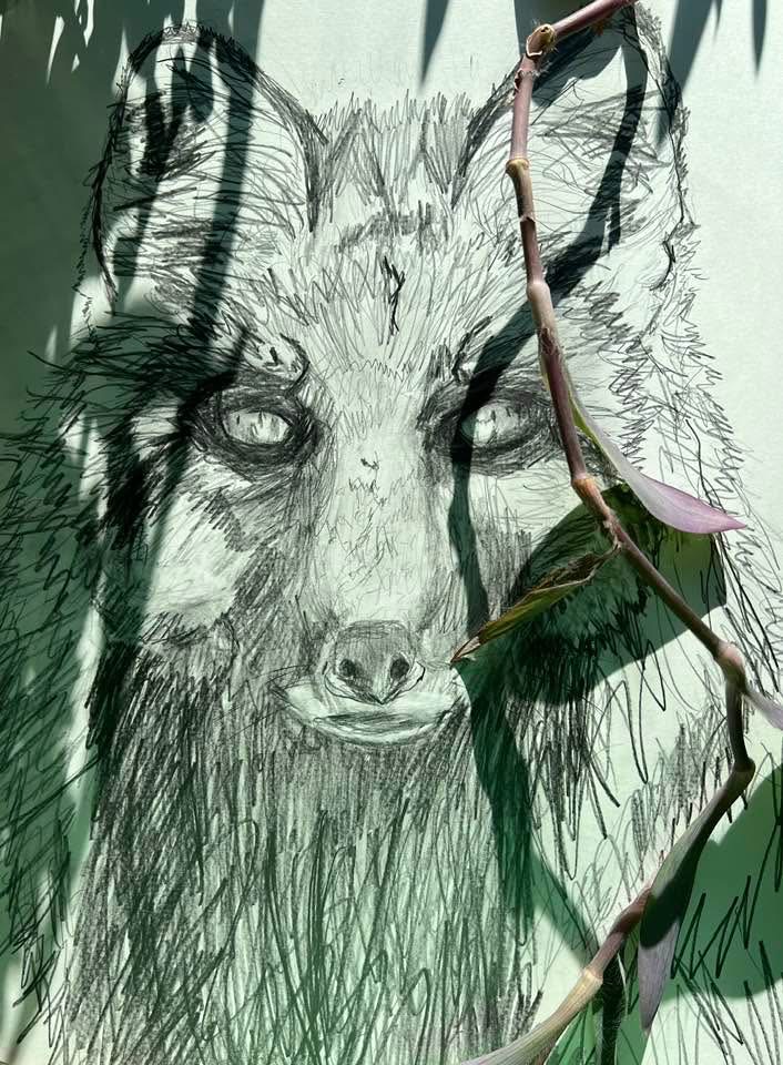 Fox sketch among green leaves