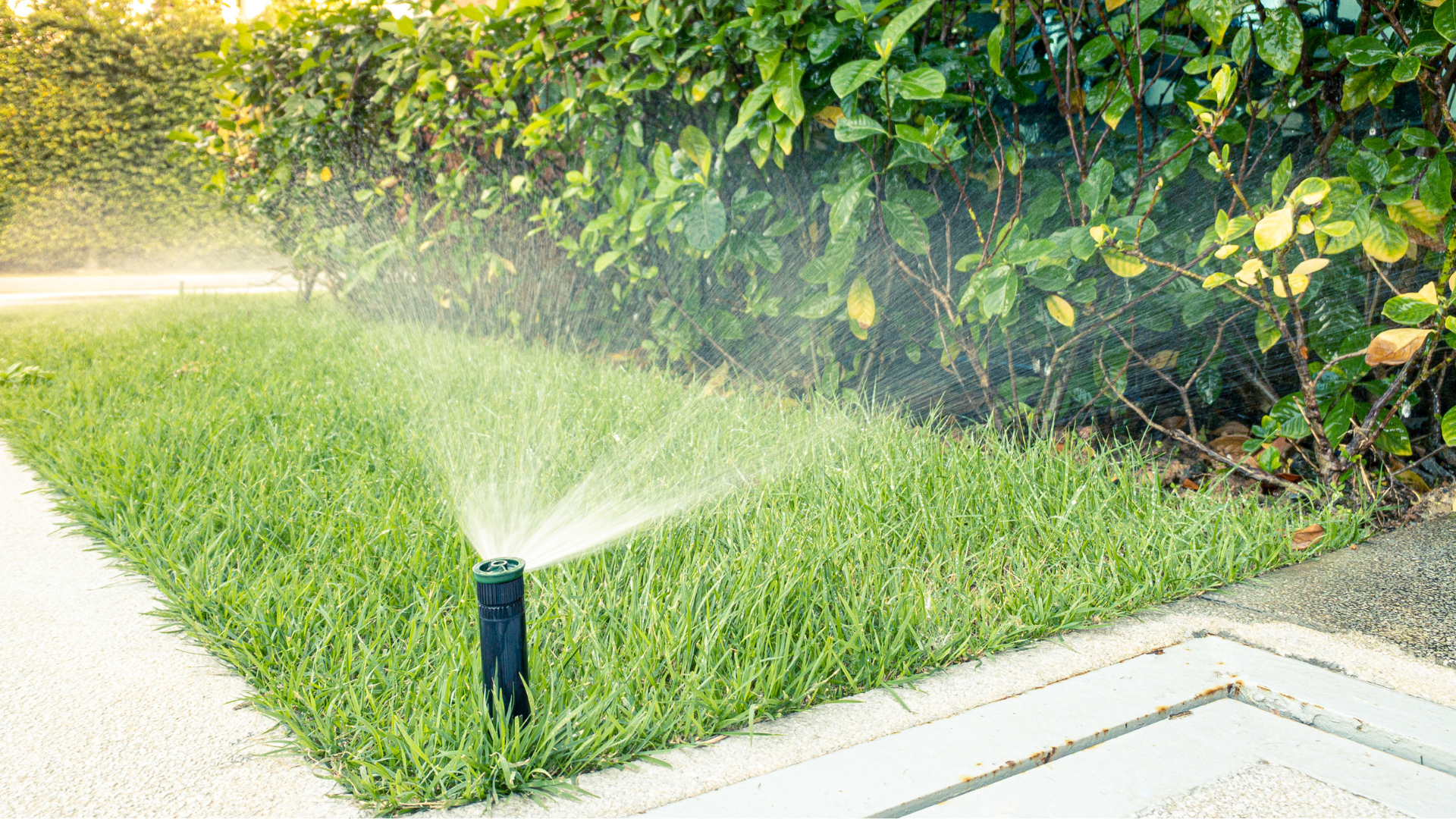 Rizal Water Irrigation System