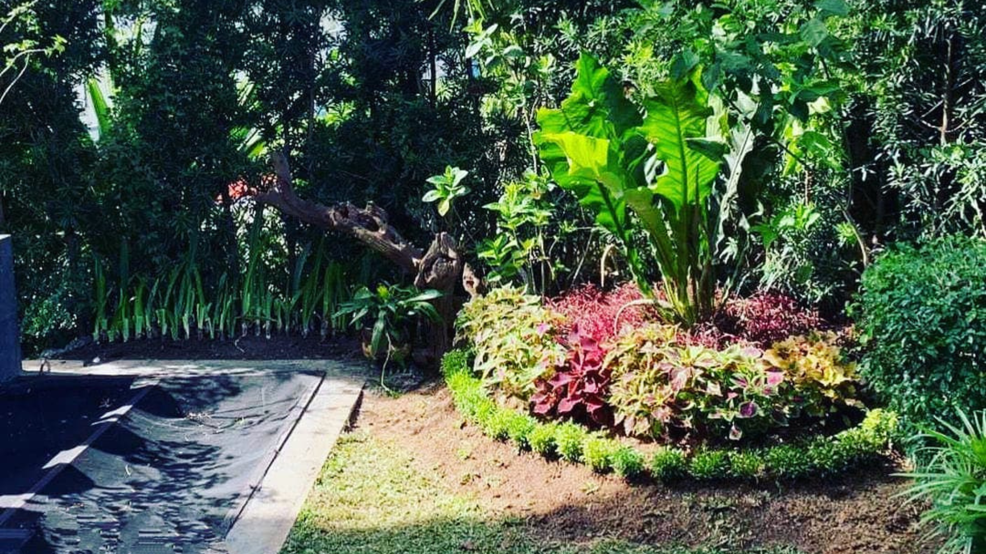 Metro Manila Garden Maintenance