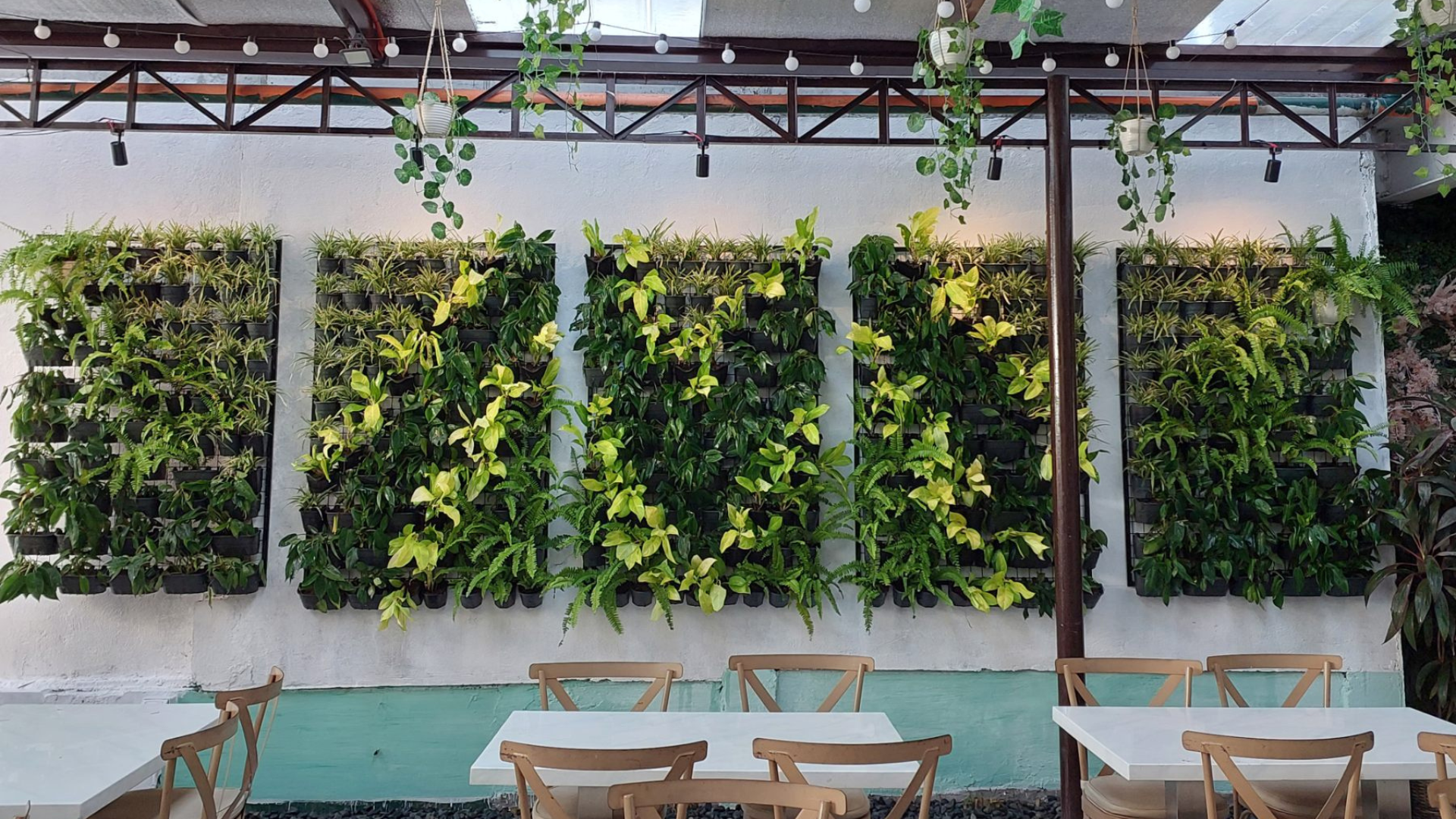 Rizal Vertical Gardening