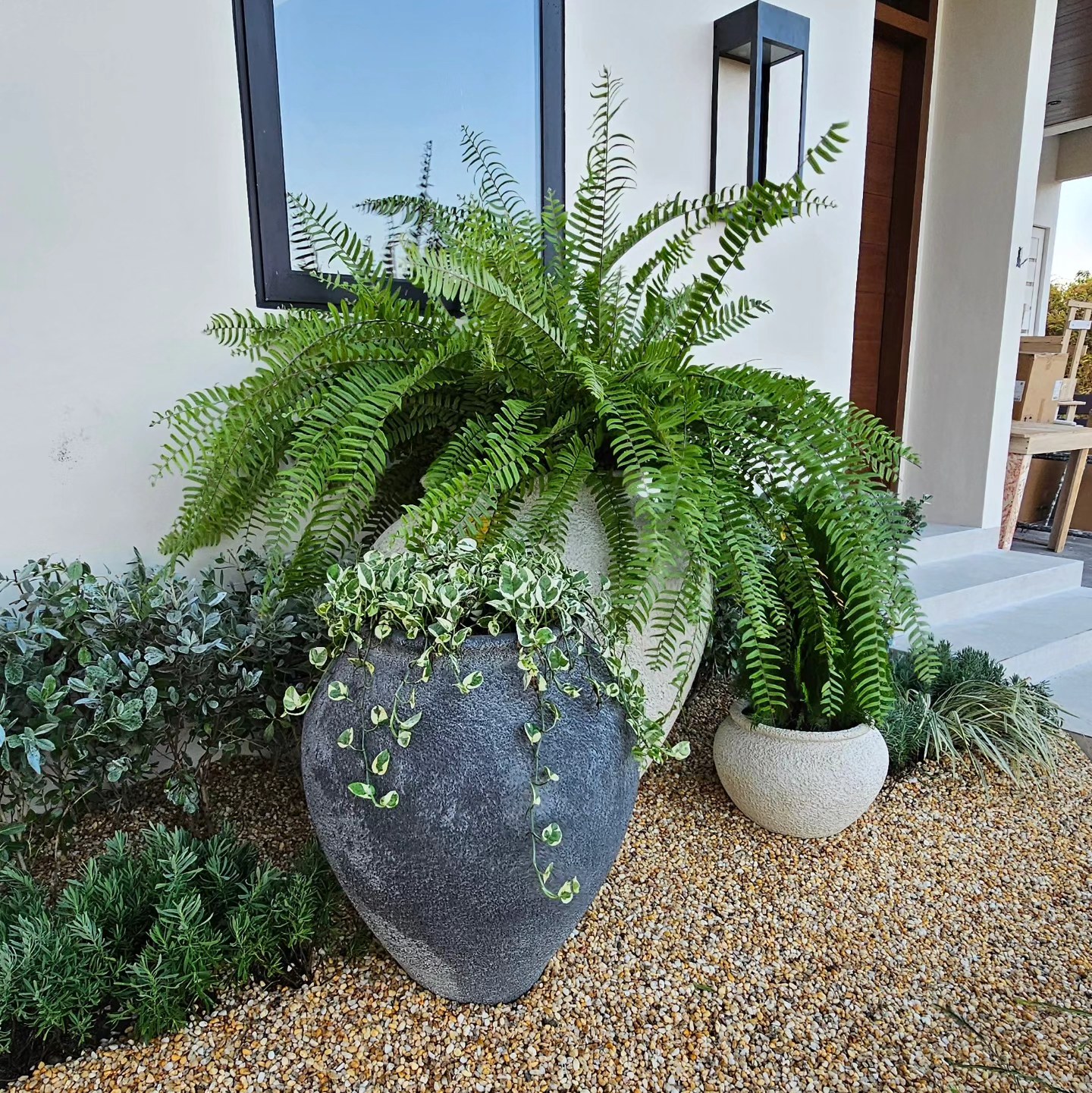 Vertical Gardening 