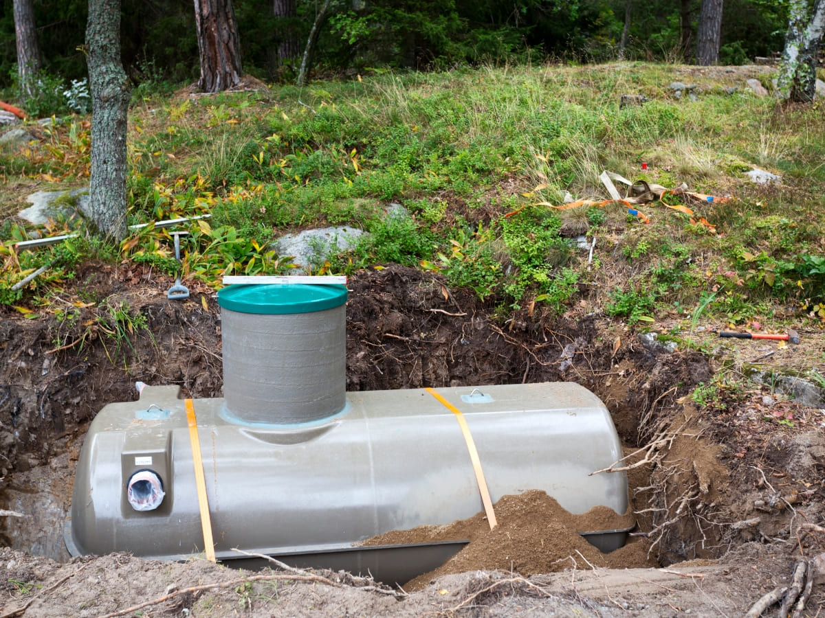 Underground septic tank being installed in a rural, forested area with exposed soil.