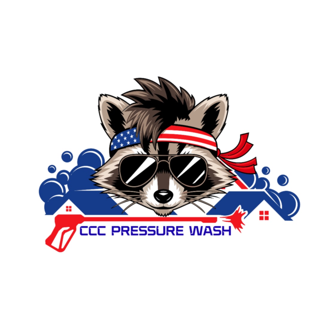 Pressure Washing