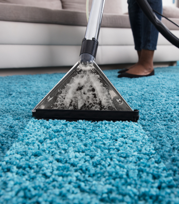 Area rug cleaning
