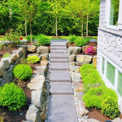 Planting in Naperville