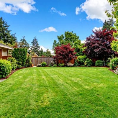 Landscape lighting in Lisle