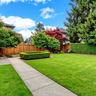 Tree Services in Lisle