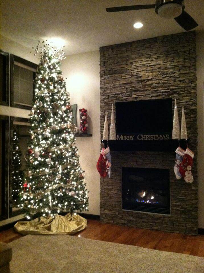 Gas fireplace with glass panel and interior components for seasonal maintenance and inspection