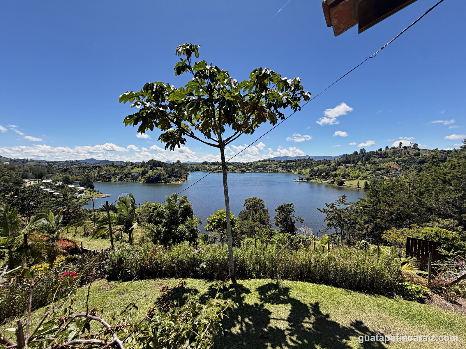 Lakefront view of the Guatapé-El Peñol reservoir from the property