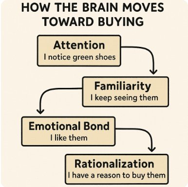 Source illustration of a simplified buying sequence. This is not an anatomically reliable diagram or evidence of a measured chemical response.