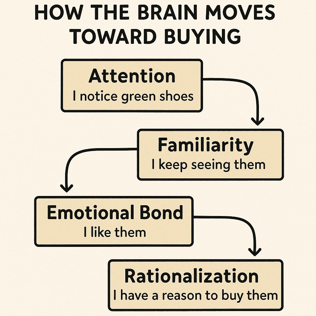 Source illustration of a simplified buying sequence. This is not an anatomically reliable diagram or evidence of a measured chemical response.
