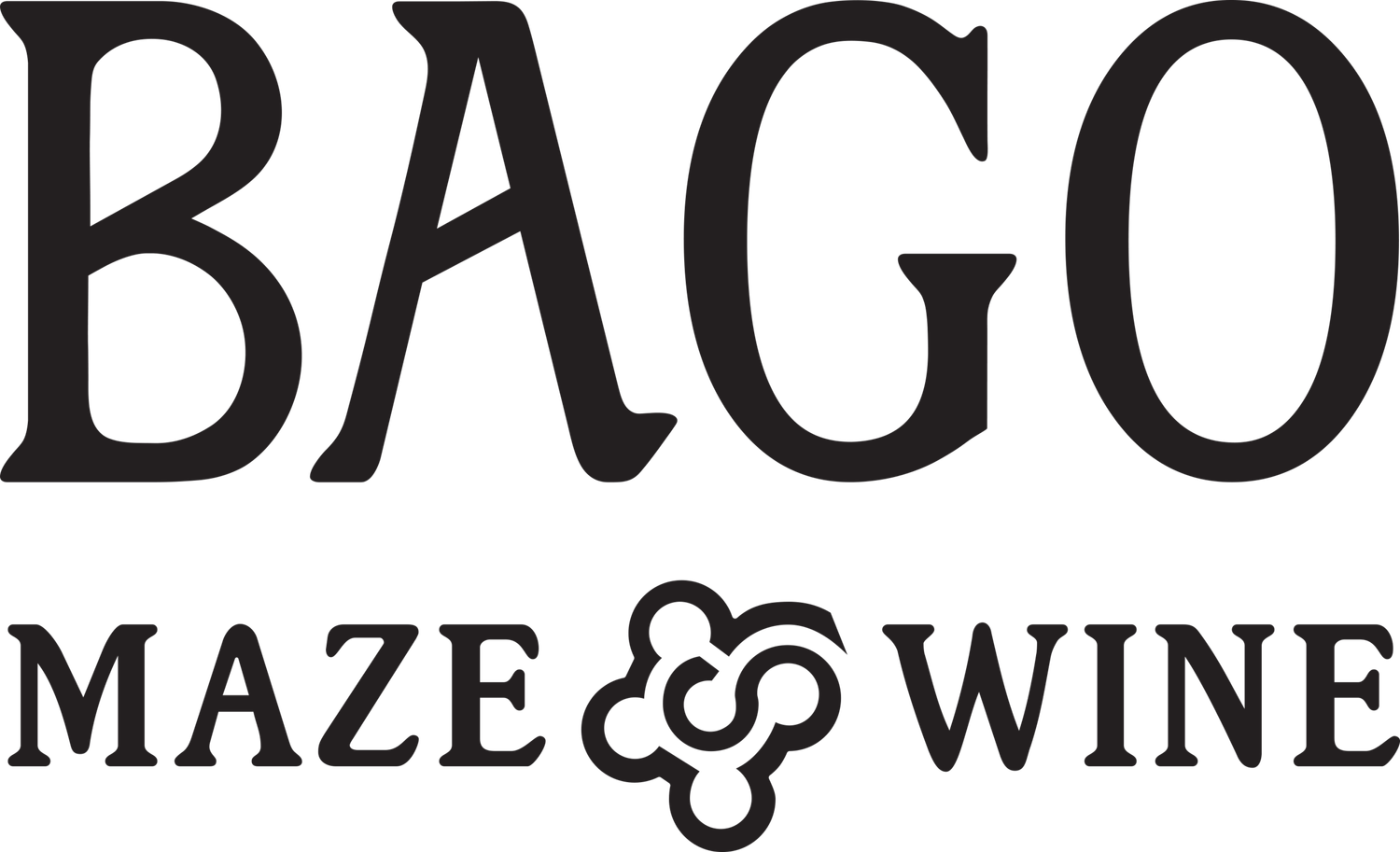Bago Vineyards and Bago Maze logo