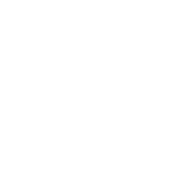 Petal N Vine logo