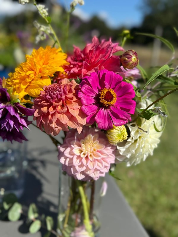 A jar of freshly picked dahlias and zinnias in pink, orange and coral