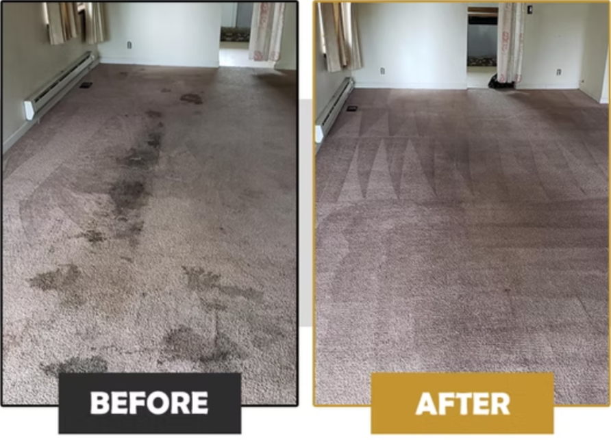 Mold remediation