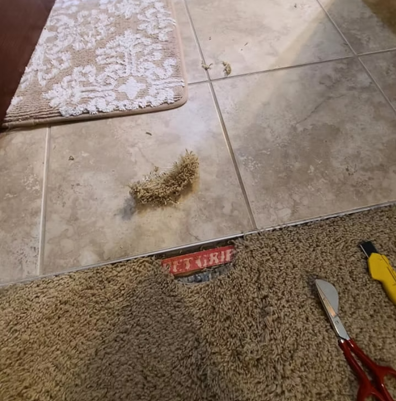 Carpet repair result