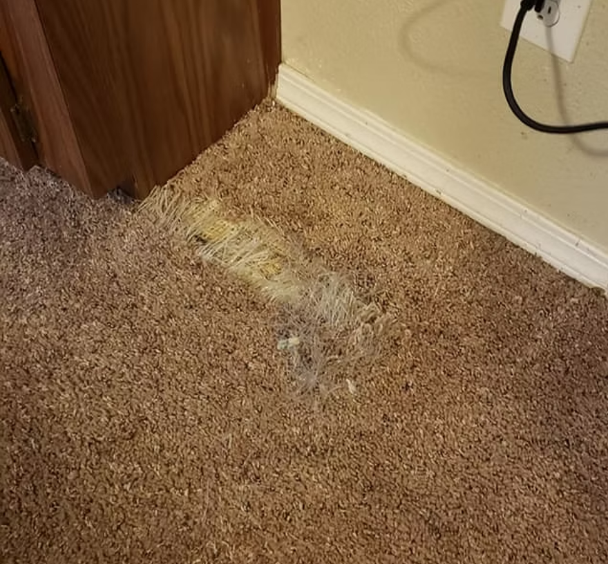 Carpet Patch Repair Las Vegas