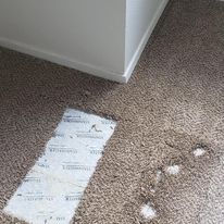 Professional Carpet Repair Results