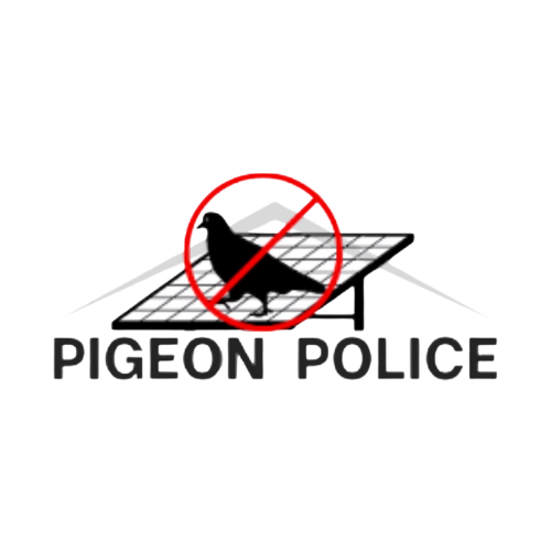Pigeon Control & Bird Prevention in Davis, CA