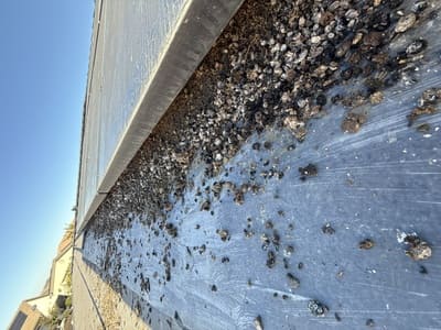 {{ custom_values.service_2 }} in {{custom_values.area_4})