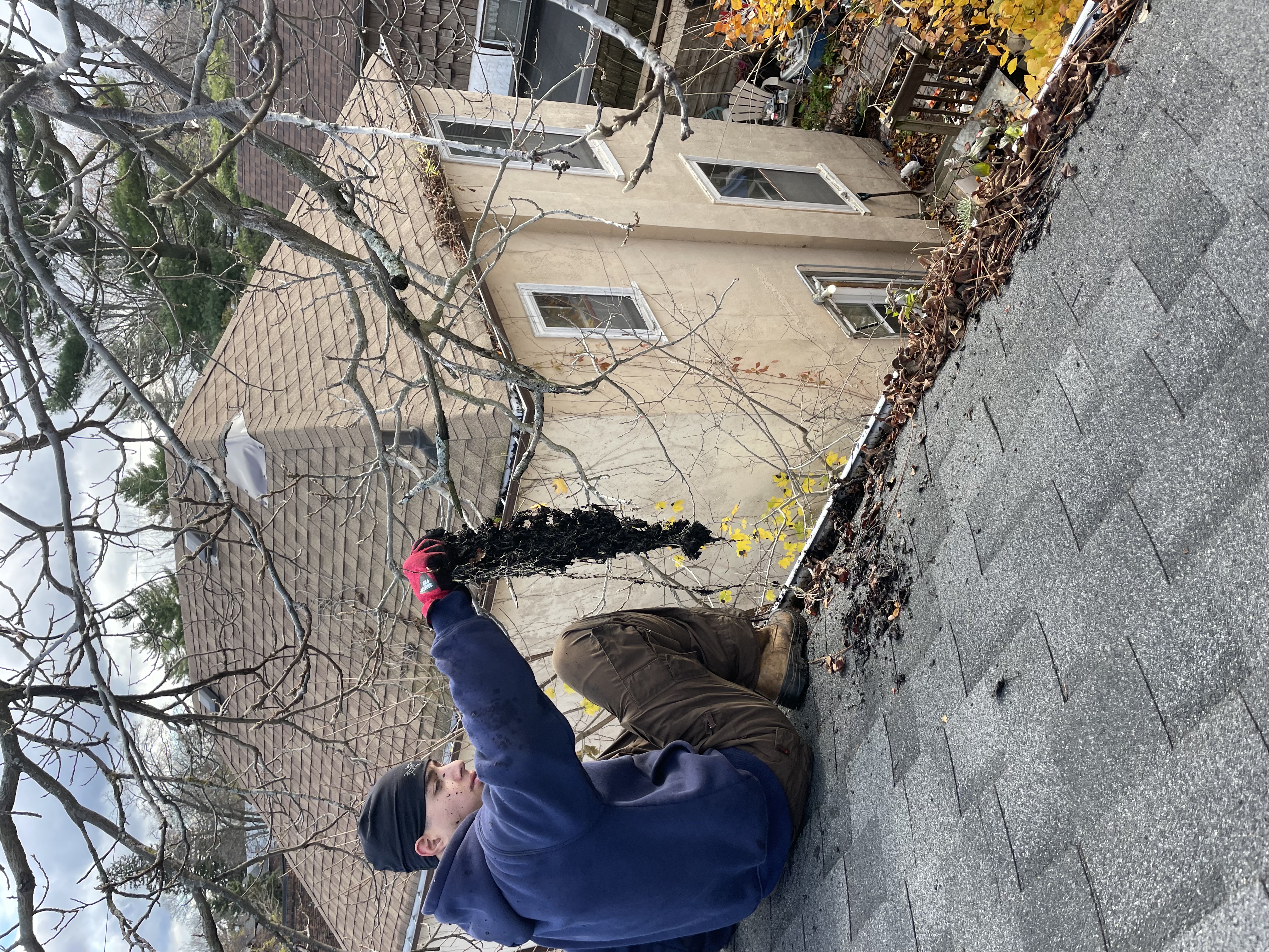 Gutter Cleaning