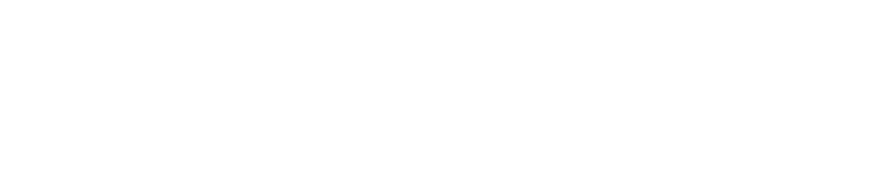 Studio Profit Pro logo