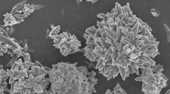 Eden NE Lead a Collaboration in Nuclear Ceramics