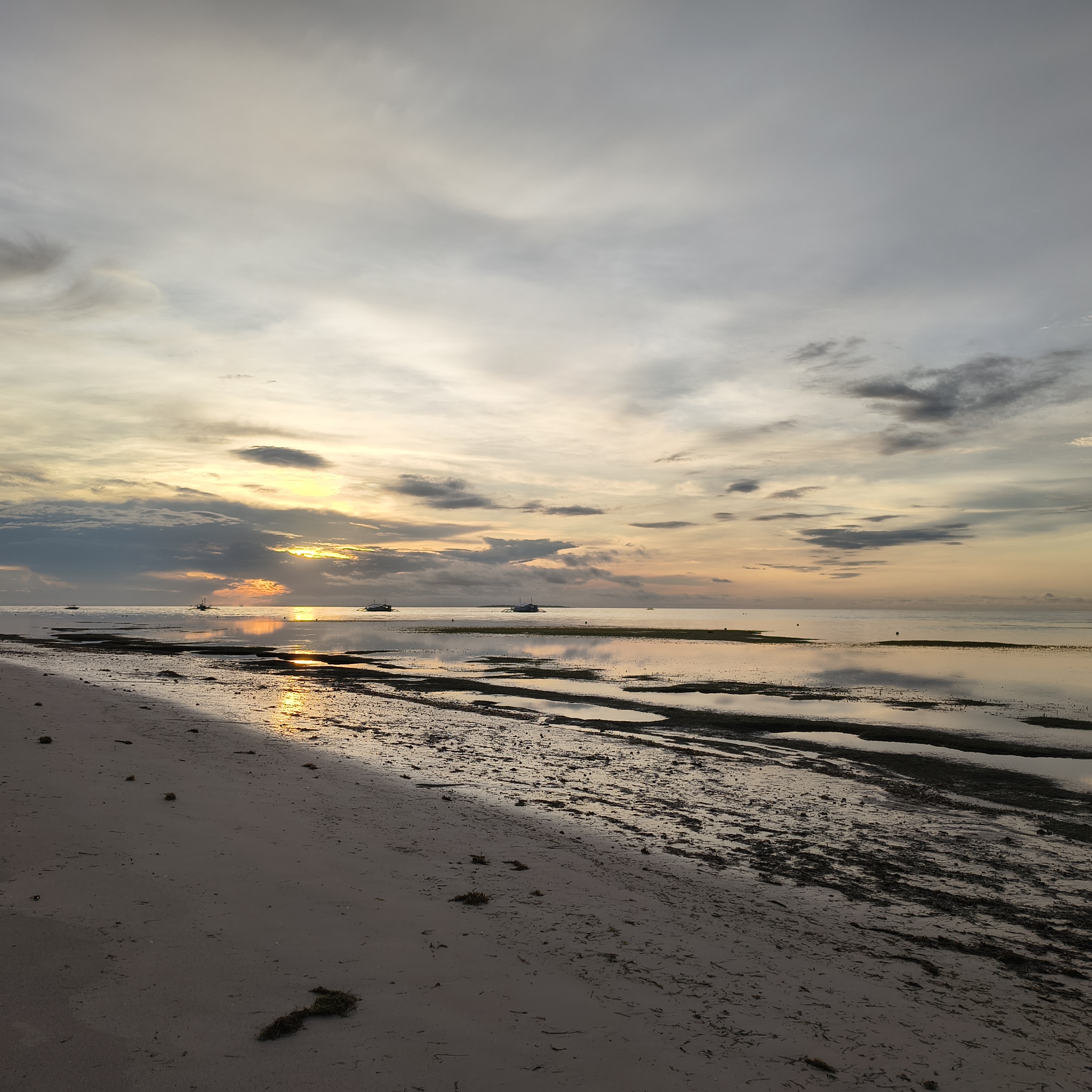 alba