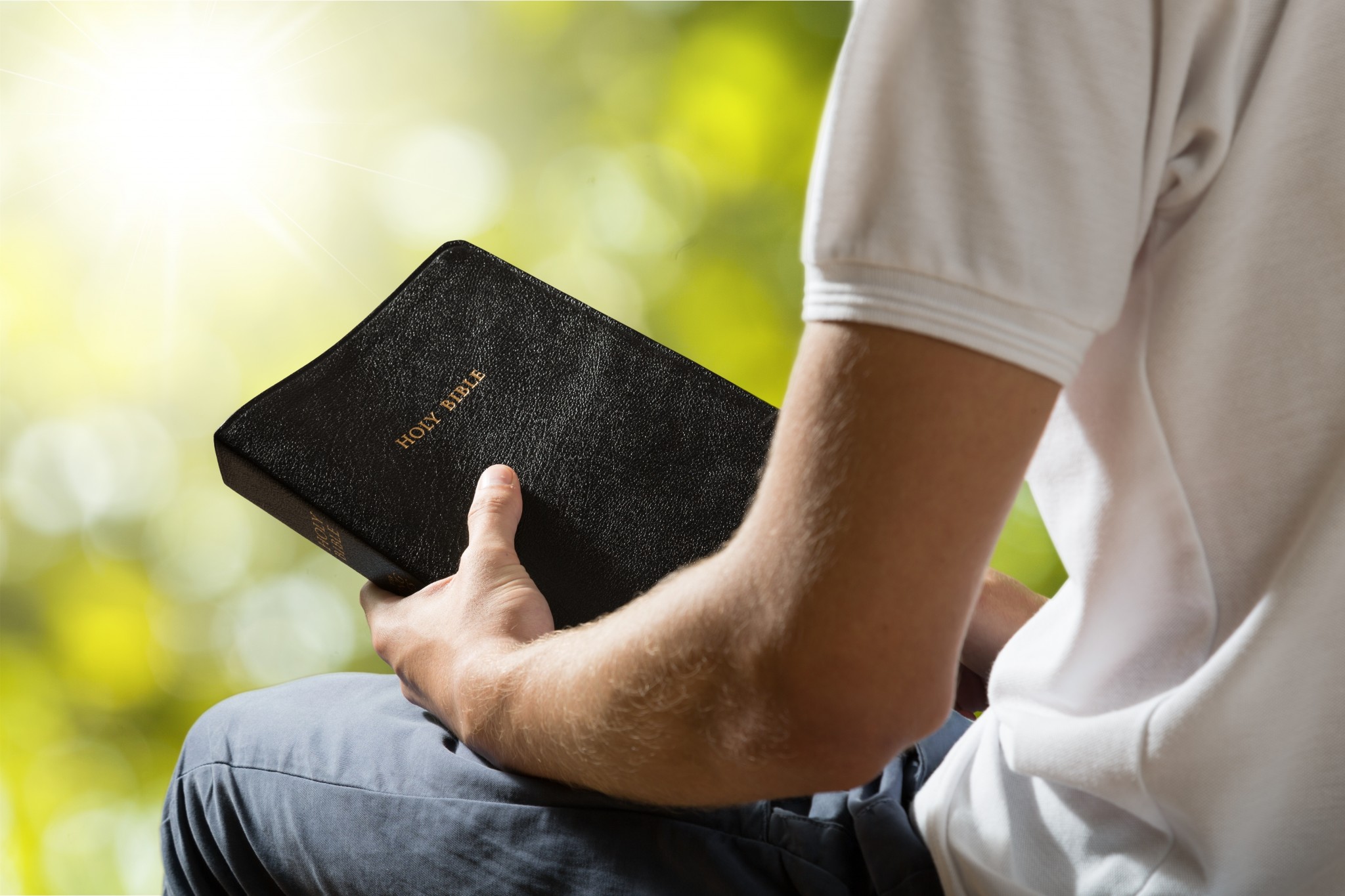 Person holding Bible