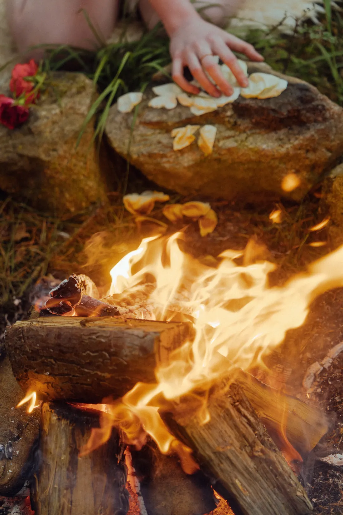 Hands placing petals on stone beside an open fire in ritual