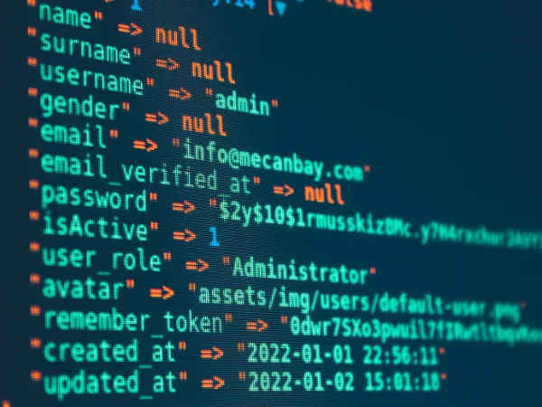 Computer screen with code and highlighted admin fields, symbolising schema markup and technical SEO setup.