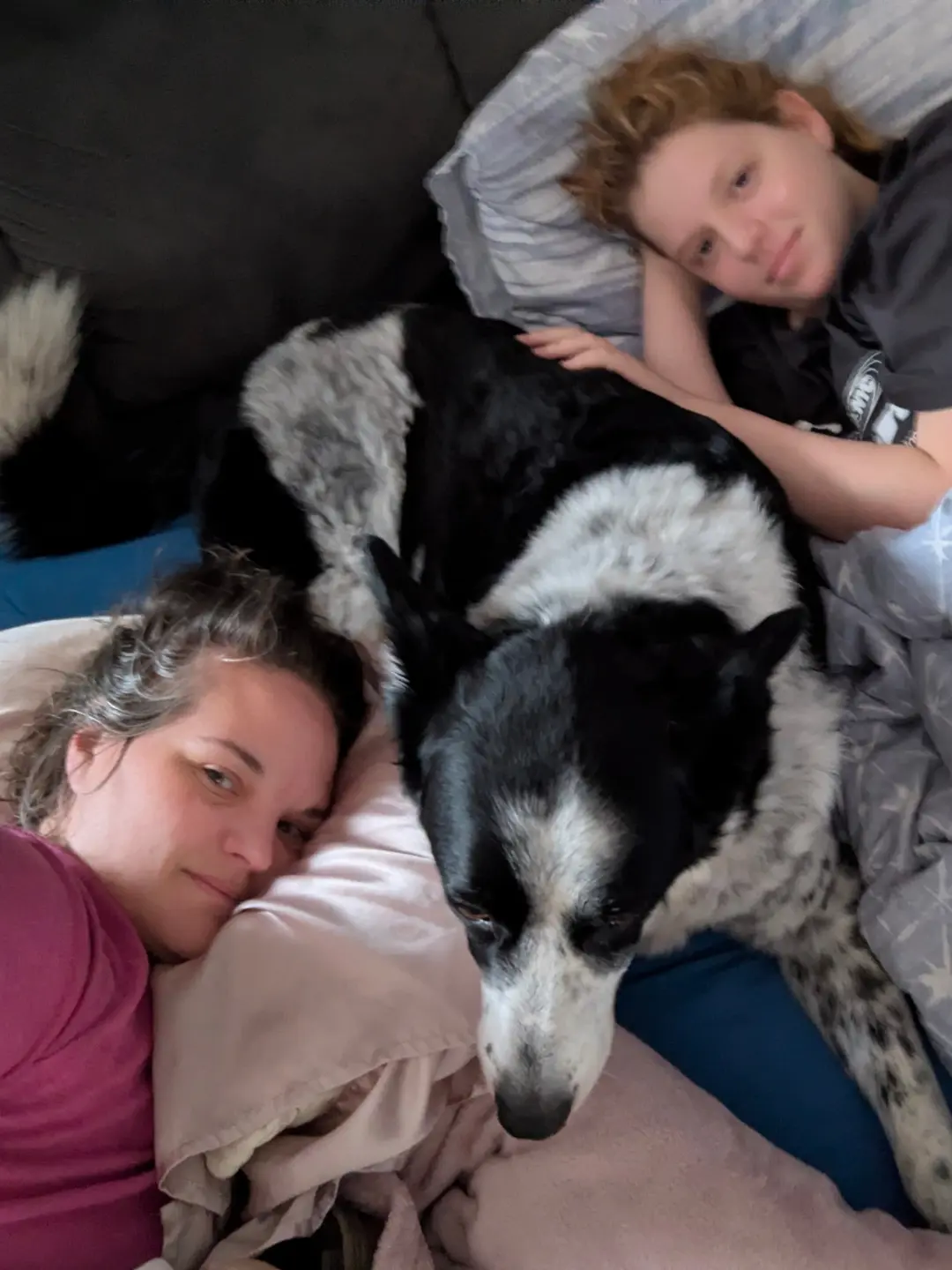 Ellie & her niece cuddled up in the bed with Monty, her kelpie cross border collie soul dog.