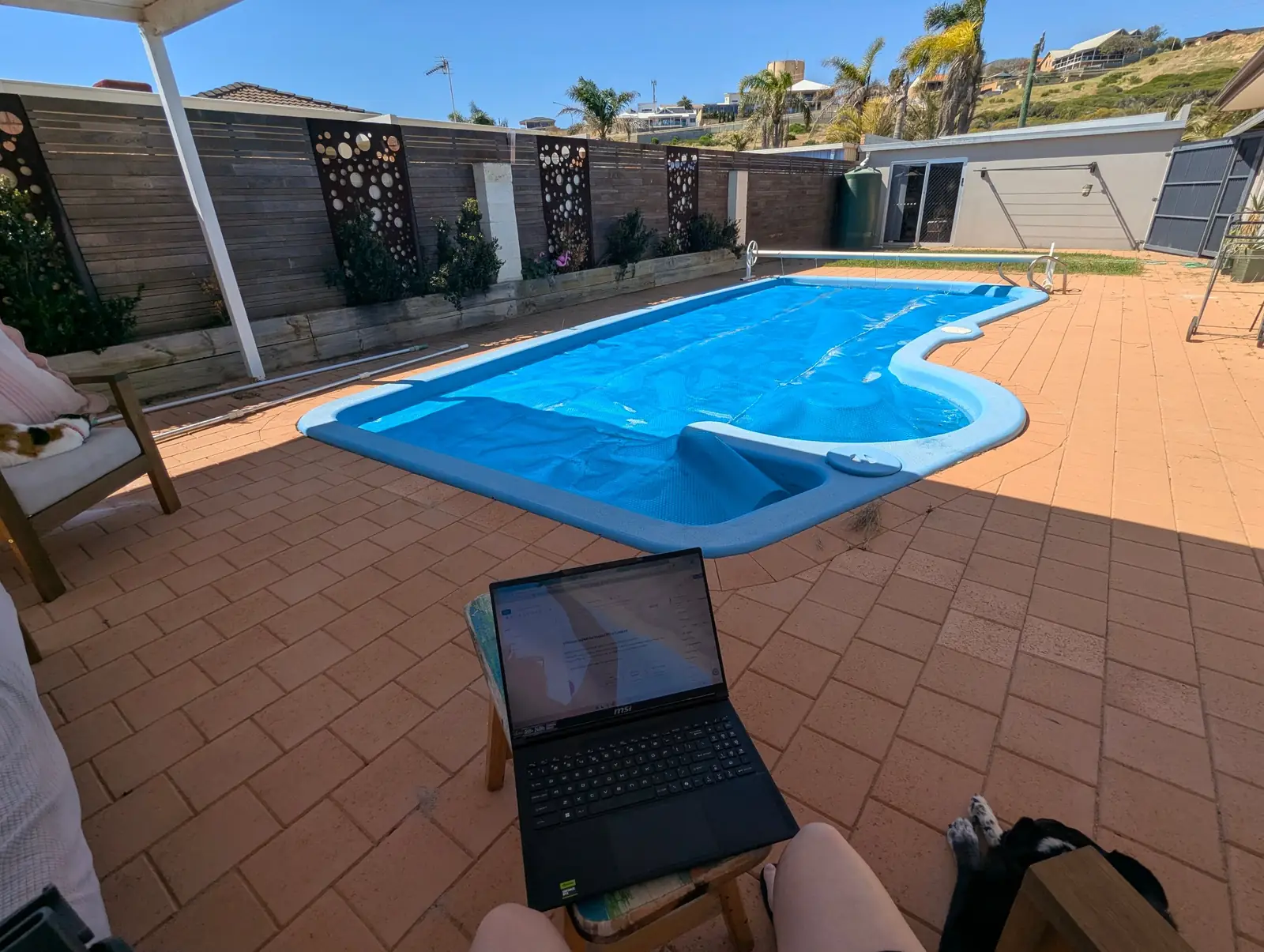 Working remotely by the pool while pet sitting in Geraldton, with Snuggles and Jeb close by Working remotely by the pool while pet sitting in Geraldton, with Snuggles and Jeb close by