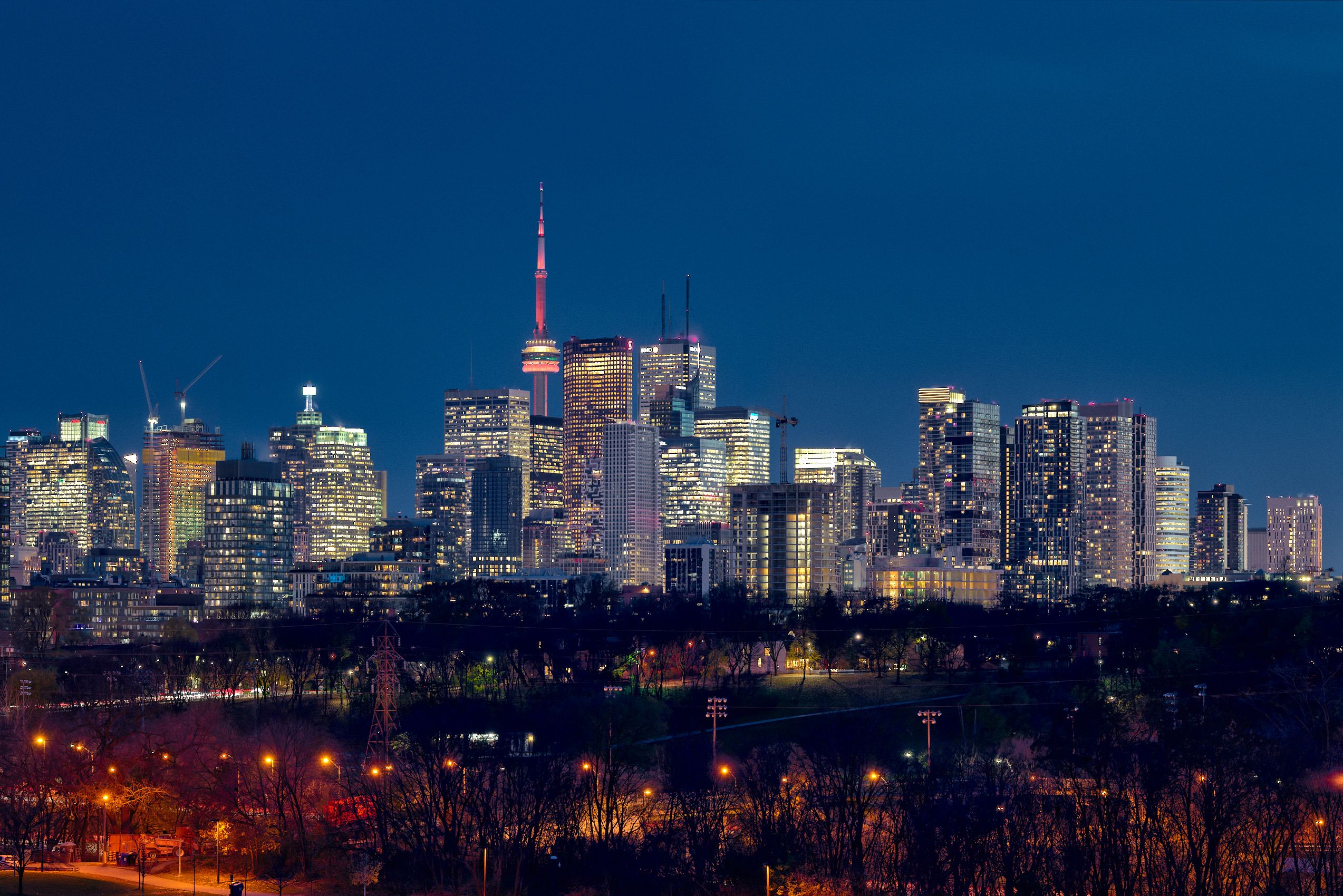 North York Online Booking Systems