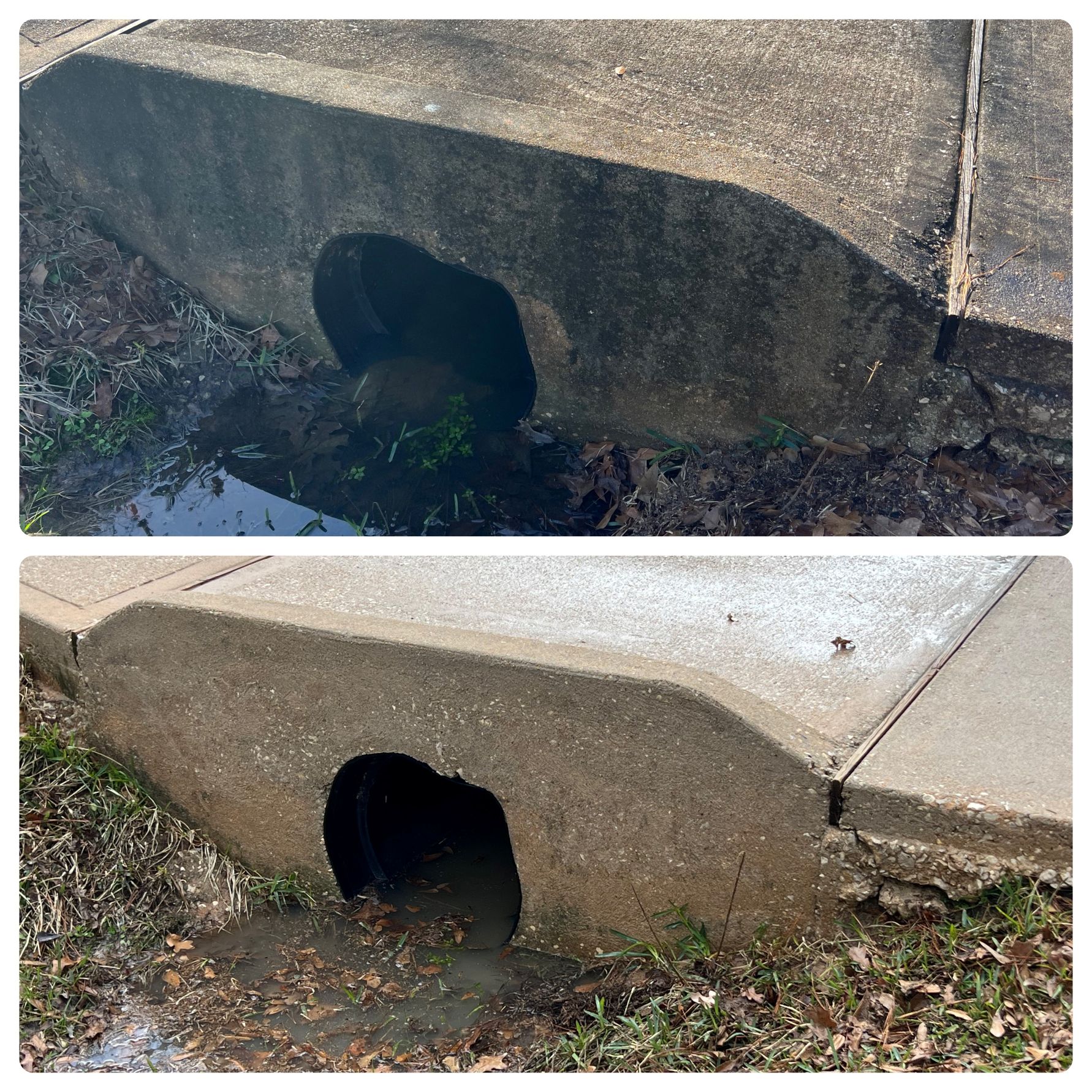 Safe soft wash roof cleaning and moss removal for a home in The Falls at Imperial Oaks Spring TX