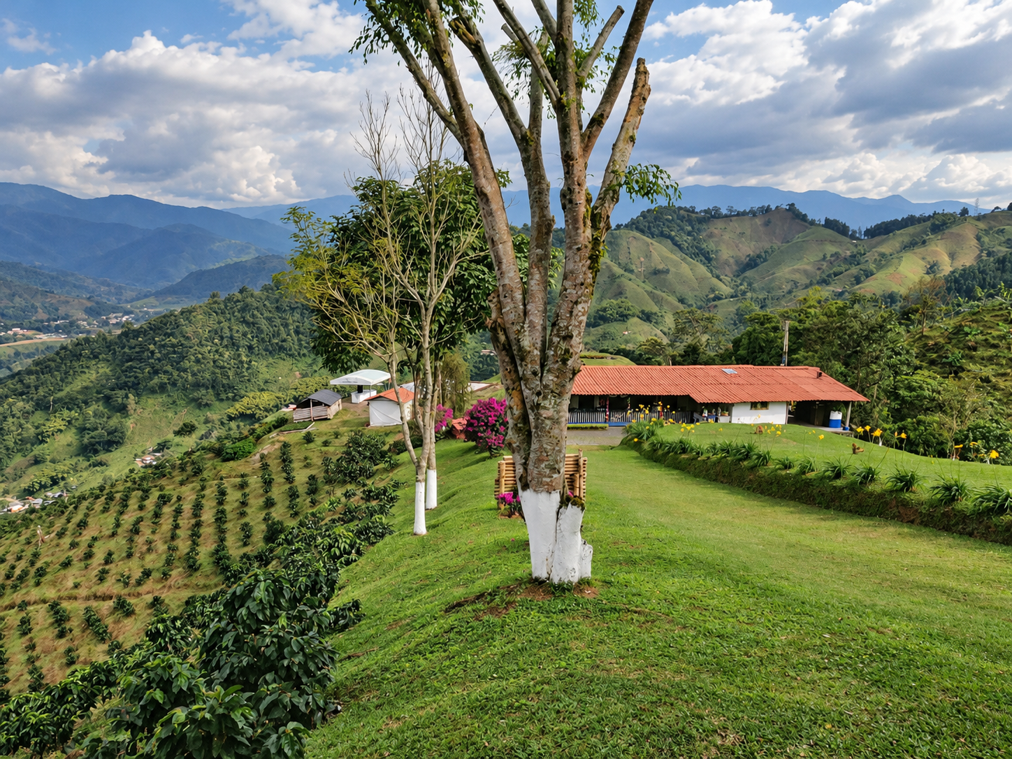 Finca La Holandesa entre cultivos y montañas del paisaje colombiano.