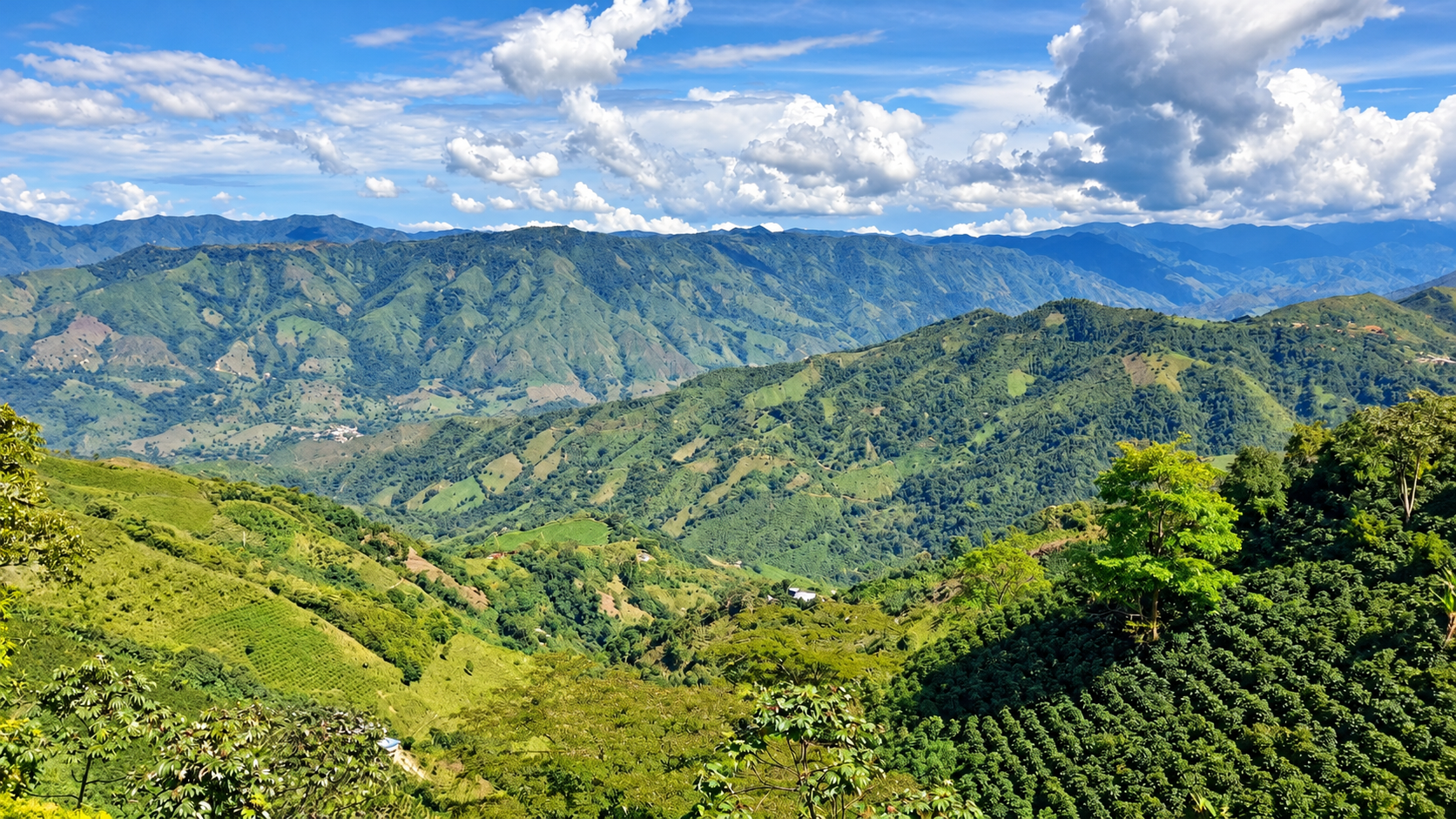 Montañas y cultivos del paisaje cafetero colombiano.