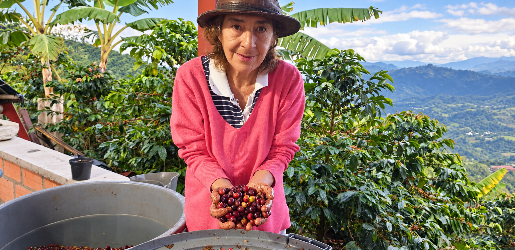 Productora con sombrero y suéter rosado muestra cerezas de café en sus manos.