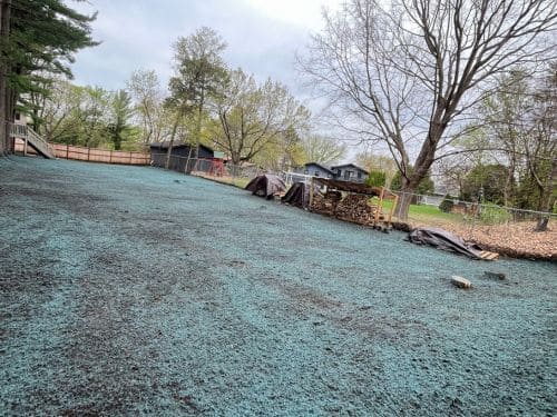 Hydroseeding Services in Buffalo