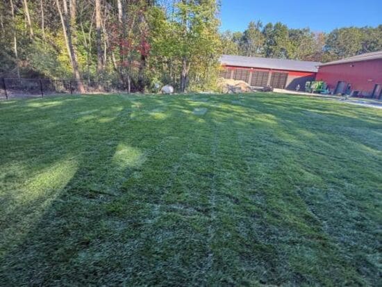 St. Michael Sod Installation