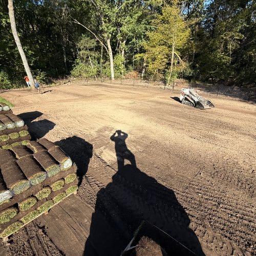 Sod Installation Buffalo