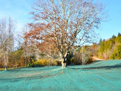 St. Michael Hydroseeding Services