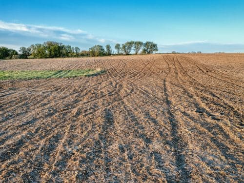 Grading & Land Leveling in Buffalo