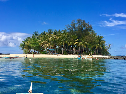Guyam Island Siargao