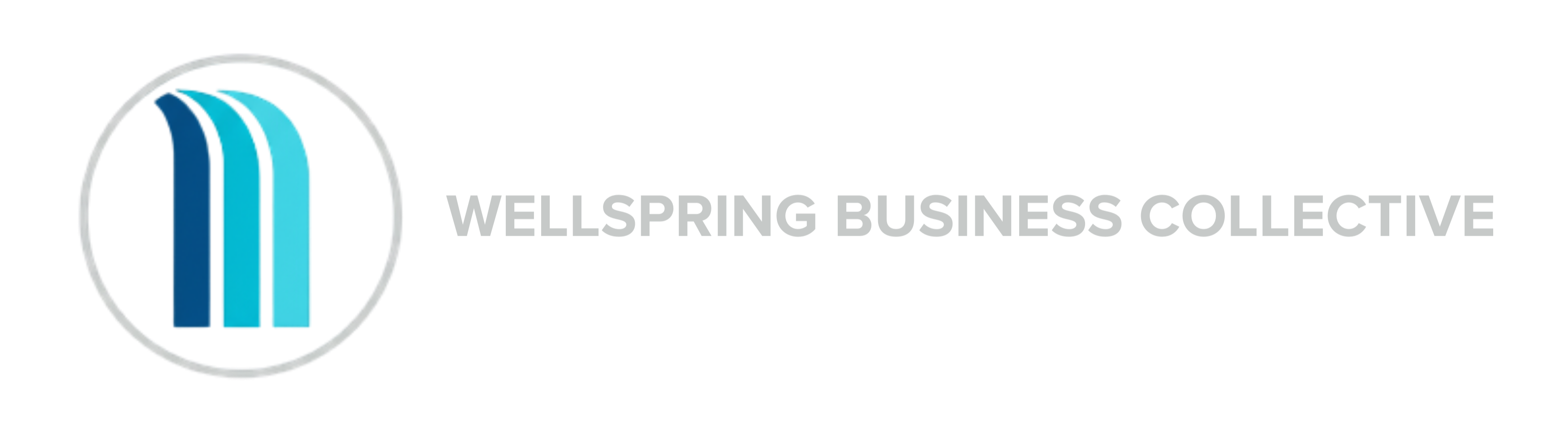 Wellspring Business Collective